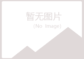 宁津县晓夏咨询有限公司